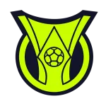 Brasileiro Serie A